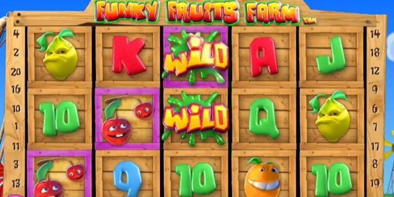 Vòng quay miễn phí trong Funky Fruits Vòng quay miễn phí trong Funky Fruits