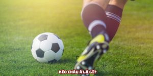 Kèo châu Á - Những tỷ lệ phổ biến và mẹo chơi hiệu quả
