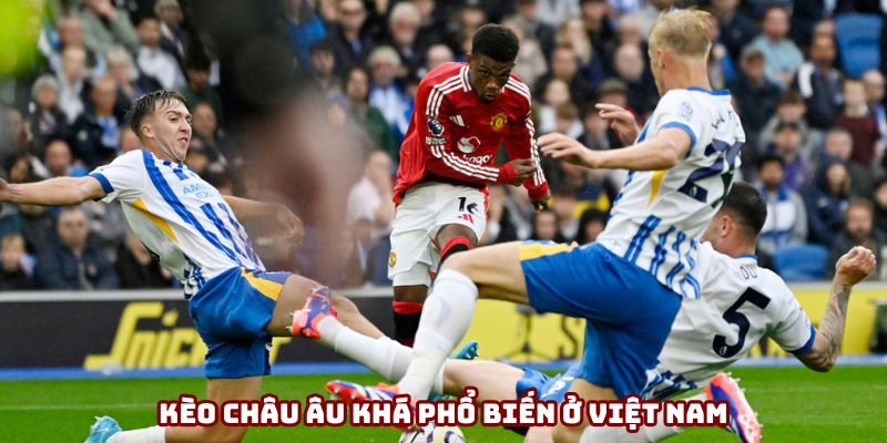 Kèo châu Âu khá phổ biến ở Việt Nam Kèo châu Âu khá phổ biến ở Việt Nam