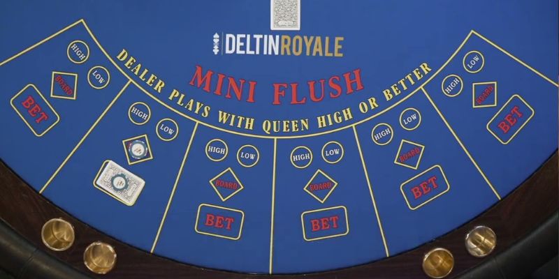Mini Flush và các thông tin cho người chơi Mini Flush và các thông tin cho người chơi