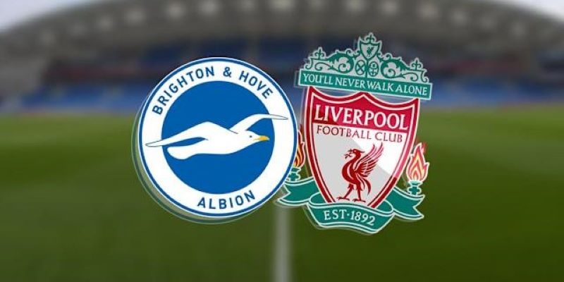 Nhận định trận đấu Brighton vs Liverpool