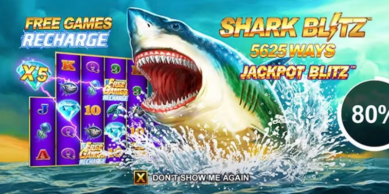 Sơ lược Shark Blitz Sơ lược Shark Blitz