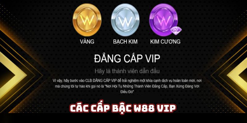Các cấp bậc W88 VIP (chương trình dành riêng cho thành viên VIP) hiện nay Các cấp bậc W88 VIP (chương trình dành riêng cho thành viên VIP) hiện nay